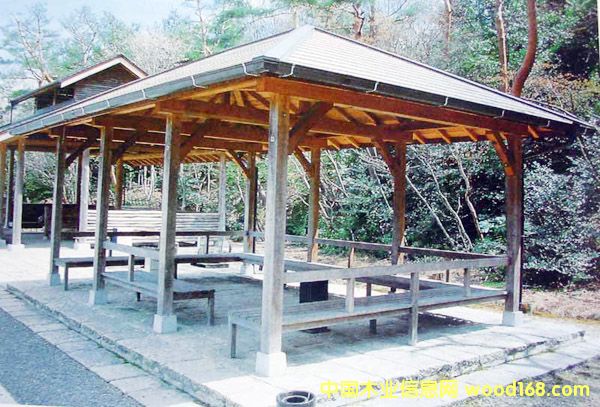 ����鿴����ľ�ĵ���ϸ����