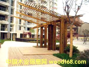 ����鿴����ľ��8�Ŵ�ͼƬ