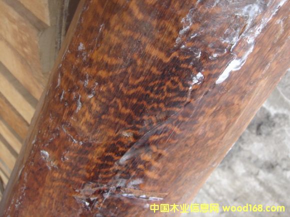 ����鿴����ľ����ϸ����