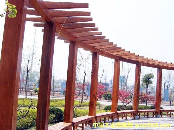 ����鿴����ľ��8�Ŵ�ͼƬ