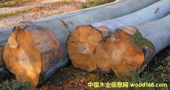 ����鿴����ľ�ĵ���ϸ����