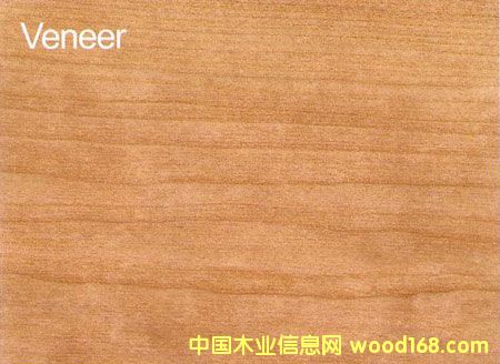 ����鿴����ľ�ĵ���ϸ����