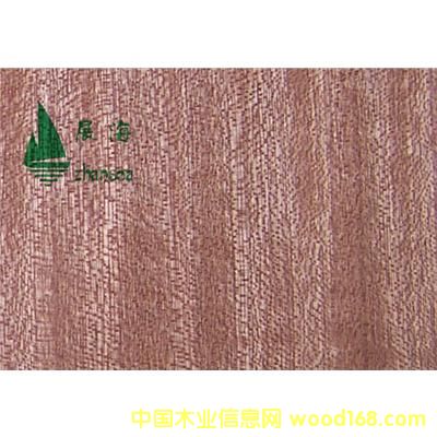 ����鿴ɳ�����Ŵ�ͼƬ