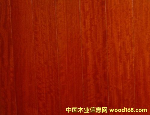 ����鿴ľƤ�Ŵ�ͼƬ