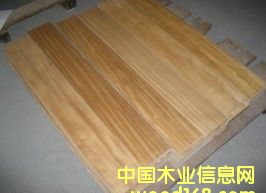 ����鿴���ϷŴ�ͼƬ