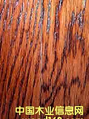 ����鿴���ʵľ�ذ�Ŵ�ͼƬ