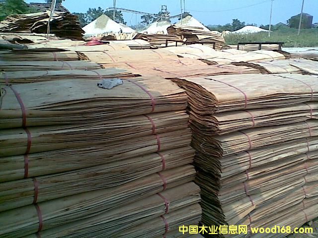 �޿�����ľƤ����ϸ����