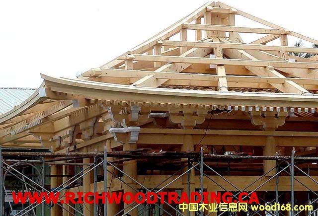  (Cypress) /  (Westernϸ