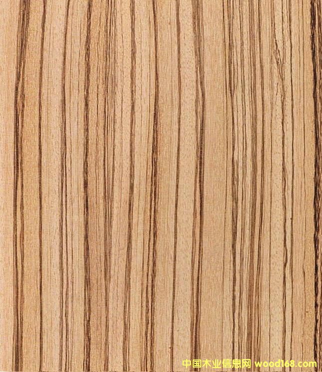 ����鿴�����Ŵ�ͼƬ