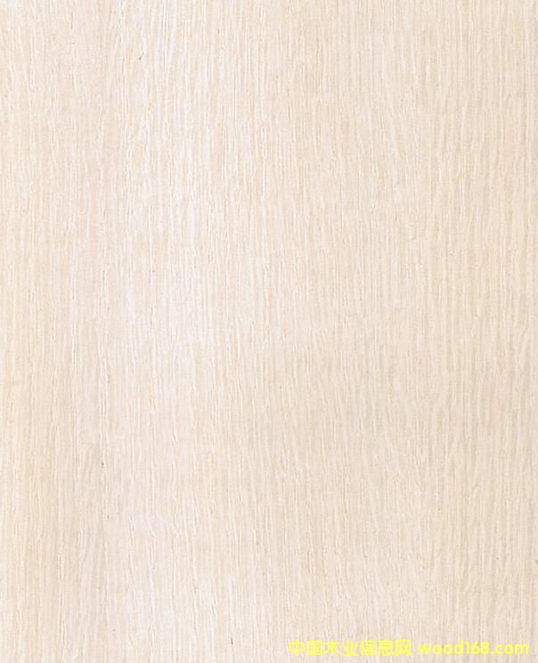 ����鿴����ֱ�ƷŴ�ͼƬ