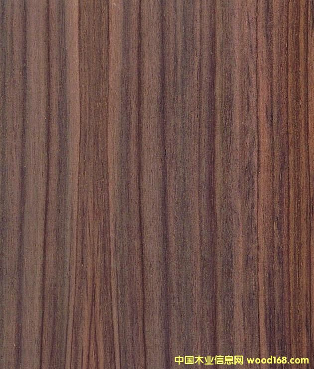 ����鿴��̴�Ŵ�ͼƬ