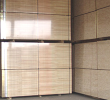 ����鿴ϸľ����Ŵ�ͼƬ