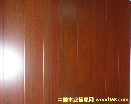 ����鿴��ӥʵľ�ذ�Ŵ�ͼƬ