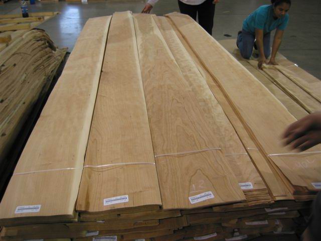 ����鿴ӣ�ҷŴ�ͼƬ