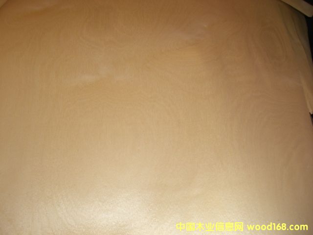 ����鿴��ľ��Ƥ�Ŵ�ͼƬ