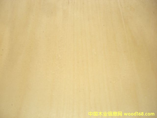 ����鿴��ľ��Ƥ�Ŵ�ͼƬ