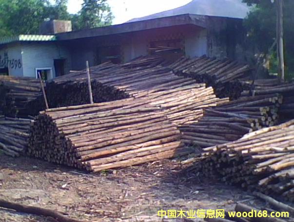 ����鿴�����Ŵ�ͼƬ