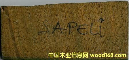 SAPELIϸ
