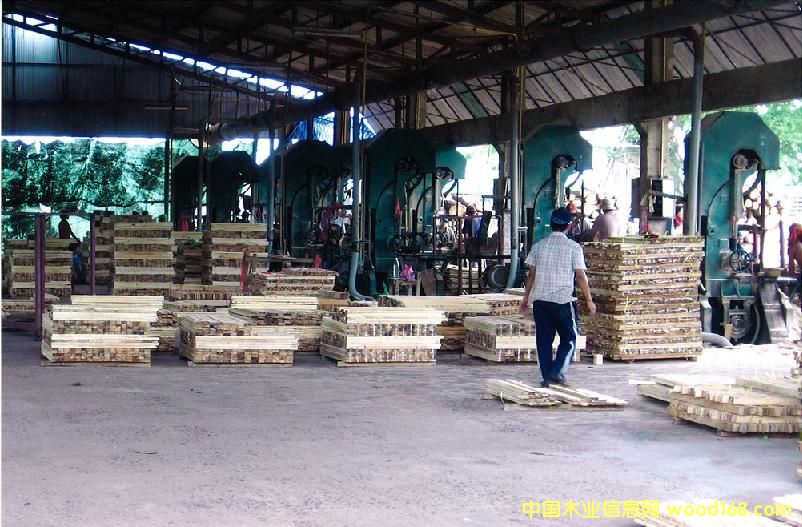 ����鿴��ľ��ķŴ�ͼƬ