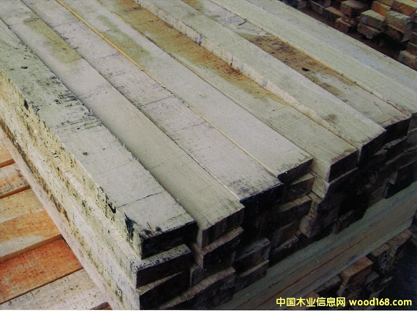 ����鿴��ľ��ķŴ�ͼƬ