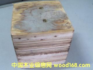 ����鿴���̽ŶշŴ�ͼƬ