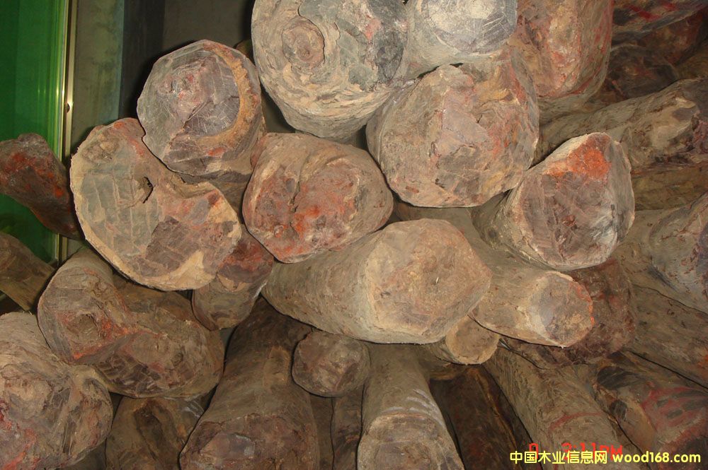 ����鿴ӡ��СҶ��̴�Ŵ�ͼƬ