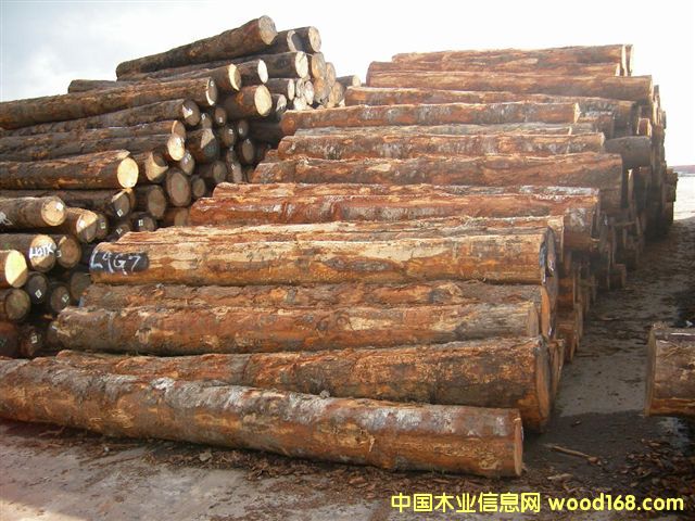 ����鿴���ڻ����ɷŴ�ͼƬ