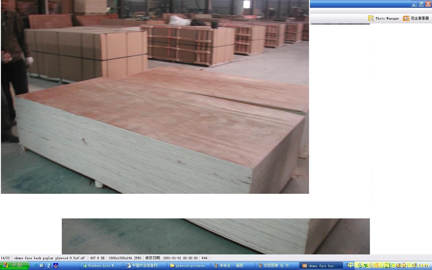 ����鿴POPLAR LVL�Ŵ�ͼƬ