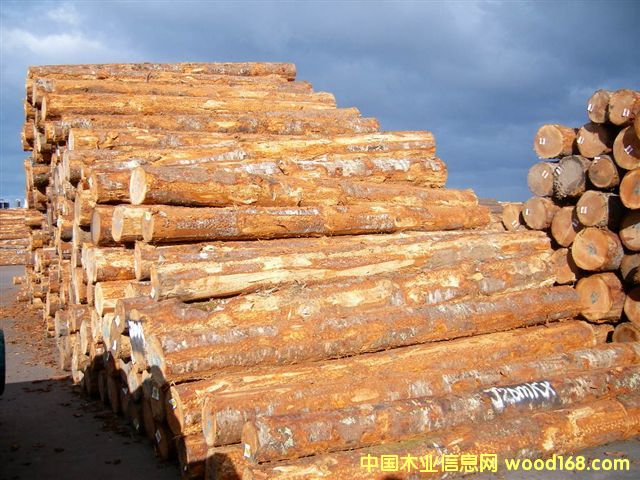 ����鿴���ڻ����ɷŴ�ͼƬ