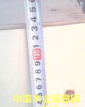 ����鿴POPLAR LVL�Ŵ�ͼƬ