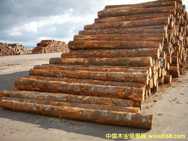 ����鿴���ڻ����ɷŴ�ͼƬ