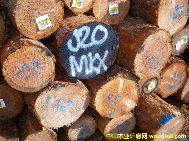 ����鿴���ڻ����ɷŴ�ͼƬ