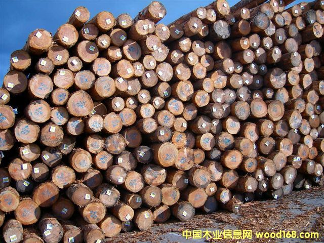 ����鿴���ڻ����ɷŴ�ͼƬ