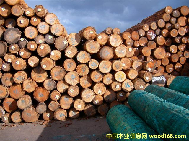 ����鿴���ڻ����ɷŴ�ͼƬ