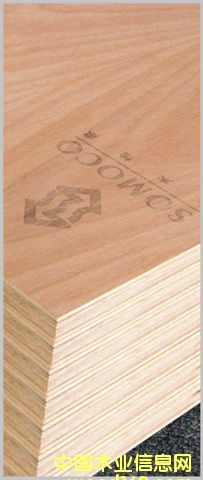 ����鿴˫���ӣ������ϸľ����Ŵ�ͼƬ