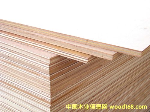 ����鿴����15�彺�ϰ����ϸ����