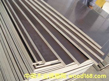 模板的详细介绍