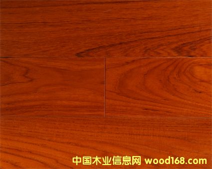 ����鿴̩�ֶ��ʵľ���ϵذ�Ŵ�ͼƬ