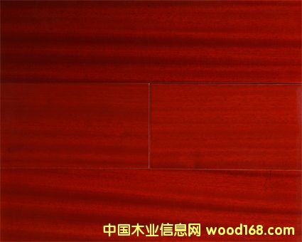 ����鿴ɳ�������ʵľ���ϵذ�Ŵ�ͼƬ