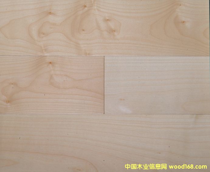 ����鿴�ӷ���ʵľ���ϵذ�Ŵ�ͼƬ