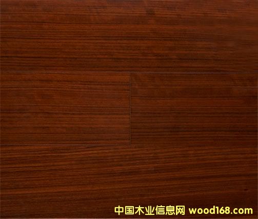 ����鿴������ľ�Ŵ�ͼƬ