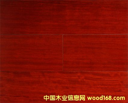 ����鿴������ʵľ���ϵذ�Ŵ�ͼƬ