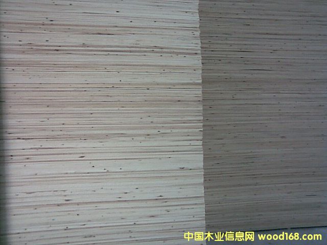 ����鿴ɼľƴ��.ɼľ����Ŵ�ͼƬ