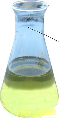 ����鿴Ӣ�����Ƶ����ͷŴ�ͼƬ