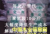 ����鿴�ۺ���ȩ��������ȩ���߻����Ŵ�ͼƬ