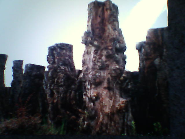 ����鿴����ľ�Ŵ�ͼƬ