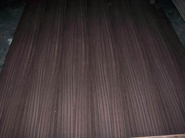 ����鿴�����--EP��̴����ϸ����