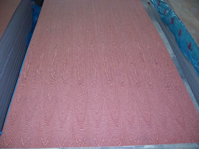 ����鿴�����--�������Ŵ�ͼƬ