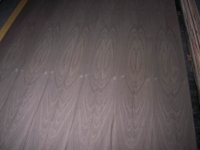 ����鿴�����--��Ȼ�ں��ҷŴ�ͼƬ