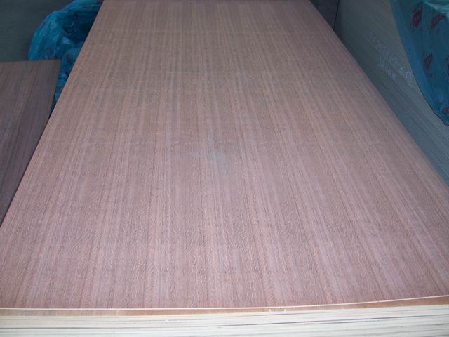 ����鿴�����--������Ӱľ�Ŵ�ͼƬ